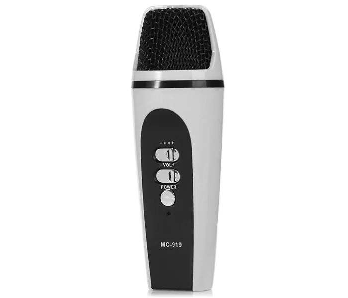 Microfon Mini MC-919 Karaoke cu Fir USB
